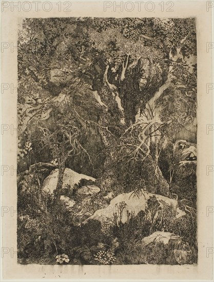 The Forest of Fontainebleau, 1880, Rodolphe Bresdin, French, 1825-1885, France, Etching and drypoint on cream laid paper, 202 × 148 mm (image), 226 × 173 mm (sheet)