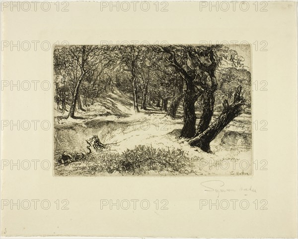 The Three Sisters, c. 1868, Francis Seymour Haden, English, 1818-1910, England, Etching and drypoint on ivory wove paper, 141 × 209 mm (image/plate), 250 × 310 mm (sheet)