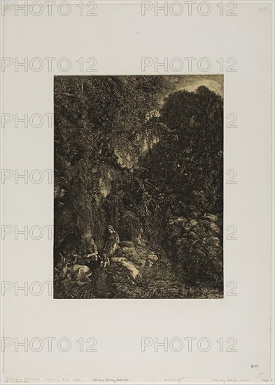 Holy Family with Deer, 1871, Rodolphe Bresdin, French, 1825-1885, France, Lithograph (etching transfer) on cream China paper laid down on white wove paper, 263 × 200 mm (image/chine), 440 × 315 mm (sheet)