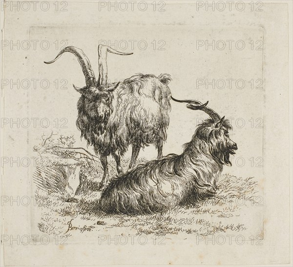Goats, from Various Animals, 17th century, Nicolaes Berchem the Elder, Dutch, 1621/22-1683, Holland, Etching on paper, 101 x 113 mm (plate)