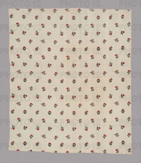 Panel (Dress Fabric), c. 1785, France, Jouy-en-Josas, France, Cotton, plain weave, block printed, 104.1 × 88.1 cm (41 × 34 3/4 in.)