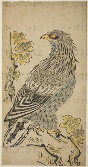 A Hawk on a Cliff near a Kiri Tree, c. 1716, Attributed to Torii Kiyomasu I, Japanese, active c. 1704–18 (?), Japan, Hand-colored woodblock print, o-oban, tan-e, 55.8 x 28.8 cm (22 x 11 1/4 in.)