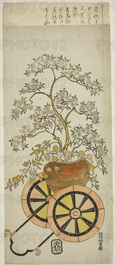 Flower Wagon, c. 1730, Hanegawa Chincho, Japanese, 1679 (?)-1754, Japan, Color woodblock print, hosoban, 37.2 x 15.5 cm (14 5/8 x 5 1/16 in.)