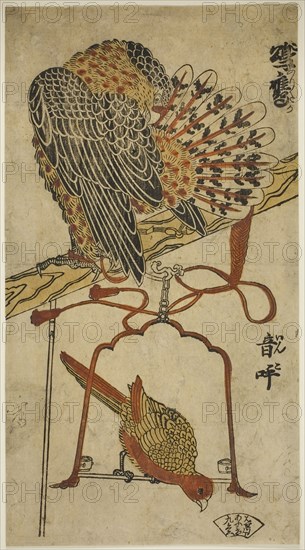 Sparrowhawk and Macaw (Konori taka, inko), c. 1718, Attributed to Torii Kiyomasu I, Japanese, active c. 1704–18 (?), Japan, Hand-colored woodblock print, hosoban, tan-e, 11 1/8 x 6 in.