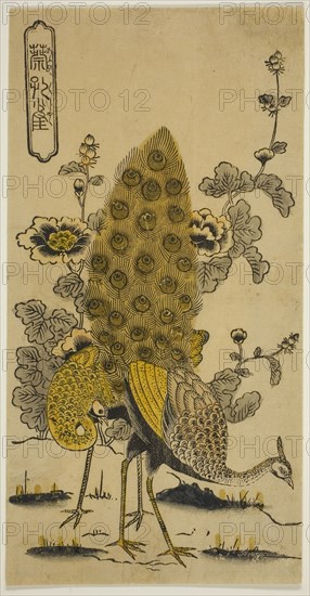 Hollyhocks and Peacocks (Aoi ni kujaku), early 1730s, Nishimura Shigenobu, Japanese, active c. 1723-1747, Japan, Hand-colored woodblock print, hosoban, urushi-e, 11 1/8 x 5 5/8 in.