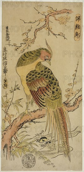 Golden Pheasant (Kinkeicho), c. 1720/25, Okumura Masanobu, Japanese, 1686-1764, Japan, Hand-colored woodblock print, hosoban, urushi-e, 32.2 x 15.5 cm (12 1/2 x 6 1/8 in.)