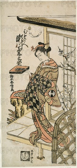 The Actor Segawa Kikunojo II as the courtesan Umegae in the play Hiragana Seisuiki, performed at the Ichimura Theater in the first month, 1764, 1764, Suzuki Harunobu ?? ??, Japanese, 1725 (?)-1770, Japan, Color woodblock print, hosoban, benizuri-e, 31.0 x 14.0 cm (12 1/8 x 5 1/2 in.)