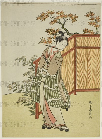 Young Man Playing the Flute Beside a Fence, c. 1767, Suzuki Harunobu ?? ??, Japanese, 1725 (?)-1770, Japan, Color woodblock print, chuban, 28.0 x 20.7 cm (11 x 8 3/4 in.)