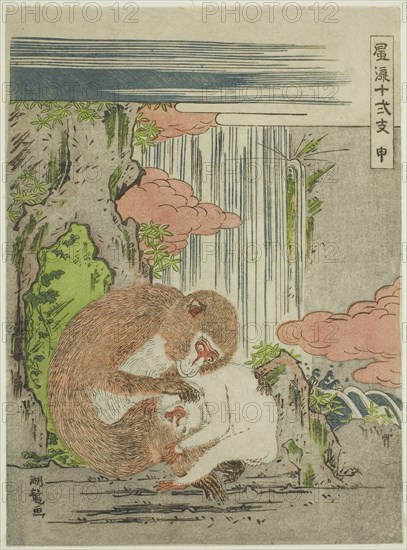 Monkey (Saru), from the series Fashionable Twelve Signs of the Zodiac (Furyu juni shi), c. 1773/75, Isoda Koryusai, Japanese, 1735-1790, Japan, Color woodblock print, chuban, 25.4 x 18.7 cm (10 x 7 1/4 in.)