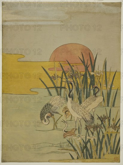 Cranes in an Iris Pond at Sunrise, c. 1774, Attributed to Isoda Koryusai, Japanese, 1735-1790, Japan, Color woodblock print, chuban, 11 1/4 x 8 1/4 in.