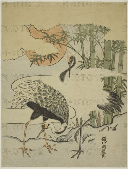 Cranes and Bamboo, c. 1774, Isoda Koryusai, Japanese, 1735-1790, Japan, Color woodblock print, chuban, 10 3/4 x 8 1/4 in.