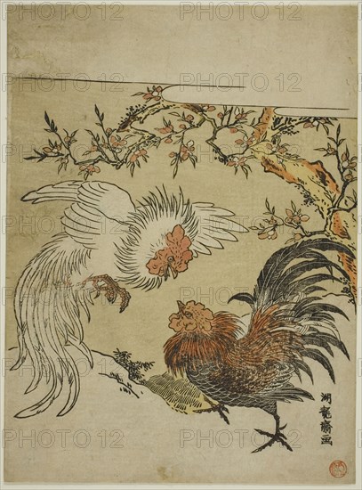 Cocks Fighting Under a Tree, c. 1770s, Isoda Koryusai, Japanese, 1735-1790, Japan, Color woodblock print, chuban, 10 1/8 x 7 1/2 in., Untitled, 1899, Heinrich Kühn, Austrian, born Germany, 1866–1944, Austrian, Gum bichromate print, 63.6 × 54.7 cm (image), 63.6 × 56.5 cm (paper)