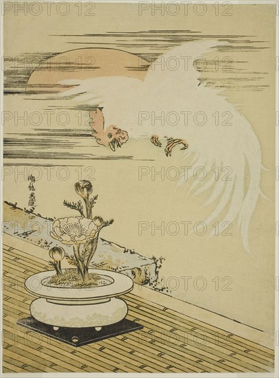 Cock Flying Over Pot of Adonis, c. 1770s, Isoda Koryusai, Japanese, 1735-1790, Japan, Color woodblock print, chuban, 25.1 x 18.6 cm (9 7/8 x 7 1/4 in.)