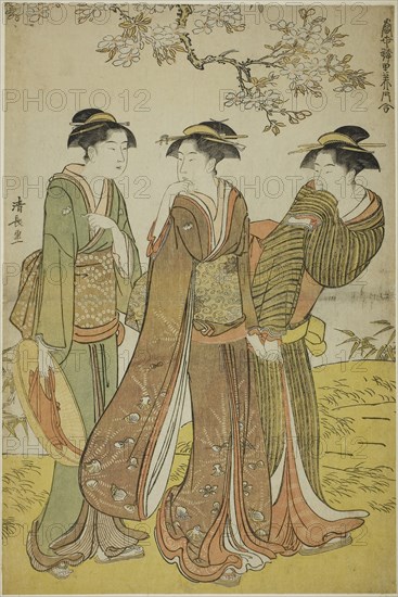 Spring Outing, from the series A Collection of Contemporary Beauties of the Pleasure Quarters (Tosei yuri bijin awase), c. 1783, Torii Kiyonaga, Japanese, 1752-1815, Japan, Color woodblock print, right sheet of oban diptych, 37.9 x 25.3 cm