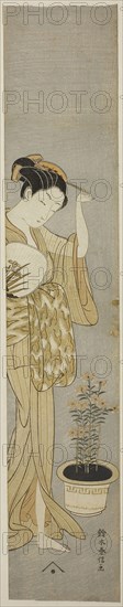 Beauty Adjusting her Hairpin, c. 1768/69, Suzuki Harunobu ?? ??, Japanese, 1725 (?)-1770, Japan, Color woodblock print, hashira-e, 62.2 x 12.1 cm (24 5/8 x 4 3/4 in.)