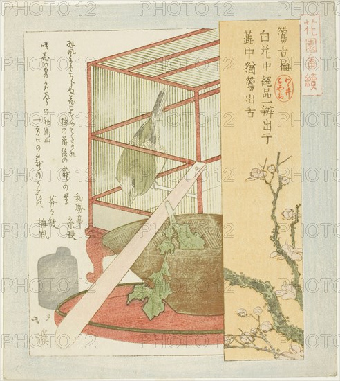 Warbler in a cage, from the series A Series for the Hanazono Group (Hanazono bantsuzuki), 1823, Totoya Hokkei, Japanese, 1780-1850, Japan, Color woodblock print, shikishiban, surimono, 20.8 x 18.6 cm