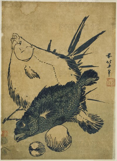 Flatfish, scorpion fish, and shells, from an untitled series of chuban prints, c. 1831, Katsushika Hokusai ?? ??, Japanese, 1760-1849, Japan, Color woodblock print, chuban