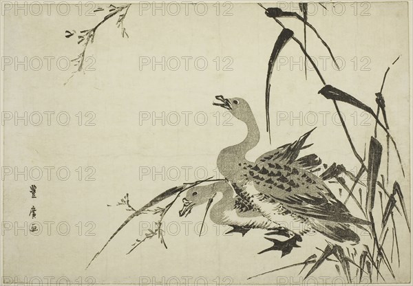 Wild Geese and Reeds, c. 1810, Utagawa Toyohiro, Japanese, 1773-1828, Japan, Woodblock print, oban, 9 3/4 x 14 in.
