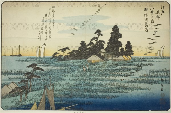 Descending Geese at Haneda (Haneda no rakugan), from the series Eight Views in the Environs of Edo (Edo kinko hakkei no uchi), c. 1837/38, Utagawa Hiroshige ?? ??, Japanese, 1797-1858, Japan, Color woodblock print, oban, 13 3/4 x 8 3/4 in.