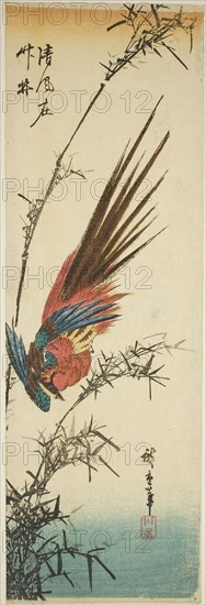 Copper pheasant and bamboo, 1840s, Utagawa Hiroshige ?? ??, Japanese, 1797-1858, Japan, Color woodblock print, aitanzaku, 33.9 x 11 cm (13 3/8 x 4 1/2 in.)