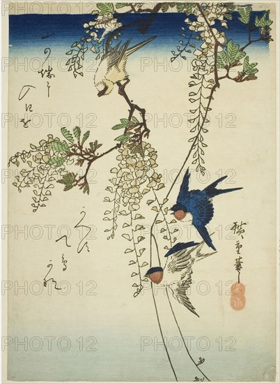 Swallow, yellow bird, and wisteria, 1830s–1840s, Utagawa Hiroshige ?? ??, Japanese, 1797-1858, Japan, Color woodblock print, chuban, 26.5 x 18.9 cm (10 1/2 x 7 3/8 in.)