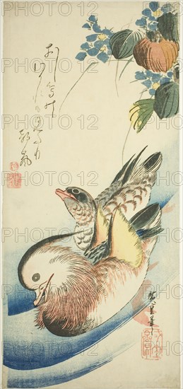 Mandarin ducks, 1830s, Utagawa Hiroshige ?? ??, Japanese, 1797-1858, Japan, Color woodblock print, otanzaku, 38.2 x 17.6 cm (15 x 6 7/8 in.)