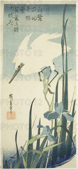 White heron and iris, c. 1832/34, Utagawa Hiroshige ?? ??, Japanese, 1797-1858, Japan, Color woodblock print, otanzaku, 38.4 x 17.5 cm (15 x 6 7/8 in.)
