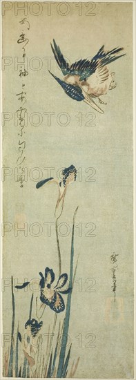 Kingfisher and iris, 1830s, Utagawa Hiroshige ?? ??, Japanese, 1797-1858, Japan, Color woodblock print, chutanzaku, 14 3/4 x 5 1/8 in.