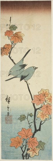 Japanese white-eyes on a maple branch, 1854, Utagawa Hiroshige ?? ??, Japanese, 1797-1858, Japan, Color woodblock print, chutanzaku, 33.2 x 10.8 cm