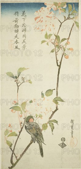 Bullfinch on aronia branch, 1830s, Utagawa Hiroshige ?? ??, Japanese, 1797-1858, Japan, Color woodblock print, otanzaku, 37.4 x 17.8 cm (14 3/4 x 7 in.)