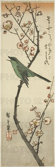 Bush warbler and plum, 1840s, Utagawa Hiroshige ?? ??, Japanese, 1797-1858, Japan, Color woodblock print, kotanzaku, 34.3 x 11 cm (13 1/2 x 4 3/8 in.)