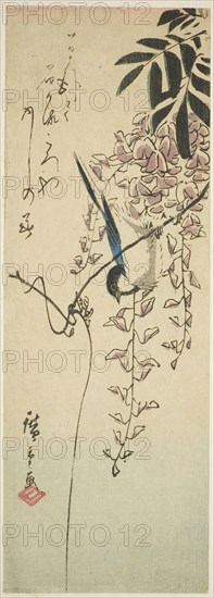 Bird on wisteria, n.d., Utagawa Hiroshige ?? ??, Japanese, 1797-1858, Japan, Color woodblock print, aitanzaku, 32.4 x 11.3 cm (13 x 4 1/2 in.)