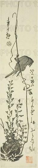 Canary and wisteria, mid–1840s, Utagawa Hiroshige ?? ??, Japanese, 1797-1858, Japan, Color woodblock print, kotanzaku, 34 x 7.5 cm (13 4/8 x 2 7/8 in.)