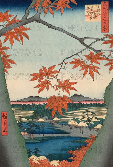 Maple Trees at Mama, Tekona Shrine and Tsugi Bridge (Mama no momiji, Tekona no yashiro, Tsugihashi), from the series One Hundred Famous Views of Edo (Meisho Edo hyakkei), 1857, Utagawa Hiroshige ?? ??, Japanese, 1797-1858, Japan, Color woodblock print, oban, 36.1 x 24.4 cm (14 1/4 x 9 9/16 in.)