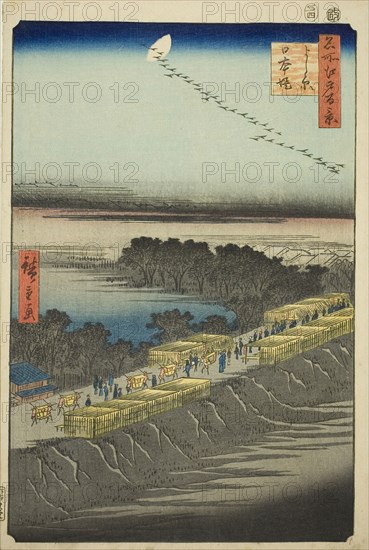 Nihon Embankment, Yoshiwara (Yoshiwara Nihonzutsumi), from the series One Hundred Famous Views of Edo (Meisho Edo hyakkei), 1857, Utagawa Hiroshige ?? ??, Japanese, 1797-1858, Japan, Color woodblock print, oban, 35.9 x 24.2 cm (14 1/8 x 9 1/2 in.)