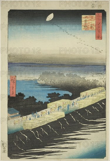 Nihon Embankment, Yoshiwara (Yoshiwara Nihonzutsumi), from the series One Hundred Famous Views of Edo (Meisho Edo hyakkei), 1857, Utagawa Hiroshige ?? ??, Japanese, 1797-1858, Japan, Color woodblock print, oban