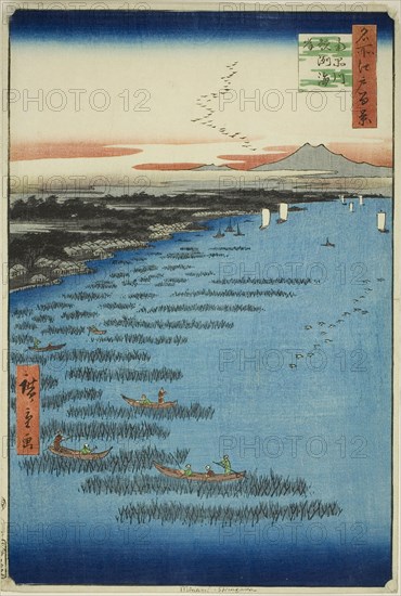 Samezu Coast in South Shinagawa (Minami-Shinagawa Samezu kaigan), from the series One Hundred Famous Views of Edo (Meisho Edo hyakkei), 1857, Utagawa Hiroshige ?? ??, Japanese, 1797-1858, Japan, Color woodblock print, oban