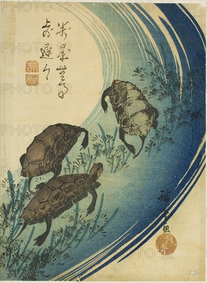 Turtles swimming in a stream, c. 1840, Utagawa Hiroshige ?? ??, Japanese, 1797-1858, Japan, Color woodblock print, koban, 21.7 x 16 cm (8 1/2 x 6 1/4 in.)