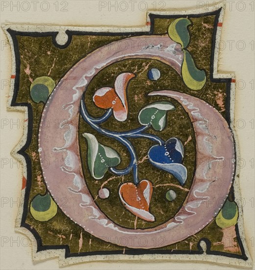 Decorated Initial G in Pink with Curling Leaves from a Manuscript, 14th century or modern, c. 1920, European, Europe, Manuscript cutting in tempera and gold leaf on vellum, 54 × 62 mm