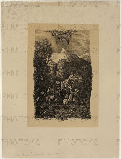 The Butterfly and the Pond, 1868, Rodolphe Bresdin, French, 1825-1885, France, Lithograph (etching transfer) in black on tan-toned cream wove paper, 180 × 112 mm (image), 290 × 218 mm (sheet)