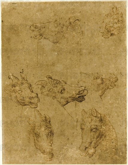 Heads of Horses and Unicorns, 1530/40, Follower of Leonardo da Vinci, Italian, 1452-1519, Italy, Pen and brown ink on tan laid paper, laid down on cream laid paper, 195 x 150 mm