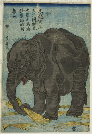 Picture of Large Elephant from India (Tenjiku hakurai dai zo no shashin), An Attraction at Ryogoku in the Eastern Capital (Toto Ryogoku mimono), 1863, Utagawa Yoshikazu, Japanese, active c. 1850–70, Japan, Color woodblock print, oban