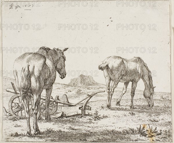 Two Horses by a Plough, 1657, Karel Dujardin, Dutch, c. 1622-1678, Holland, Etching on paper, 155 x 184 mm