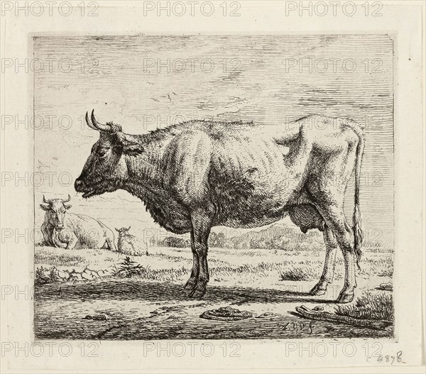 Two Cows and a Sheep, n.d., Adriaen van de Velde, Dutch, 1636-1672, Holland, Etching on ivory paper, 113 x 133 mm (plate), 130 x 150 mm (sheet)