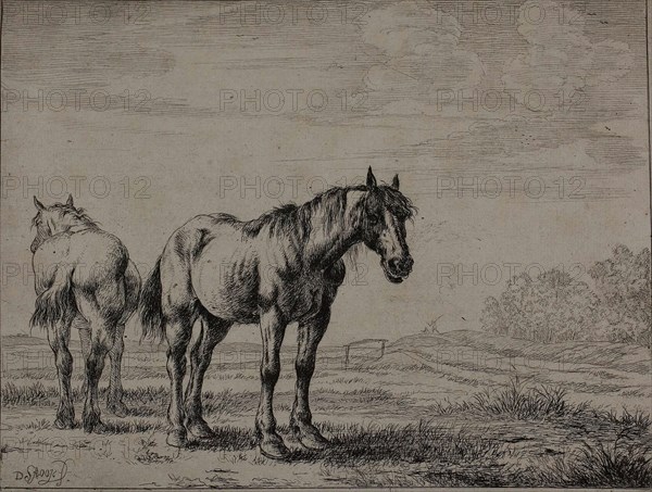 Two Plough Horses, plate seven from Series of Horses, 1651, Dirck Stoop, Dutch, 1610-1686, Netherlands, Etching on ivory laid paper, 150 x 196 mm (plate), 174 x 213 mm (sheet)