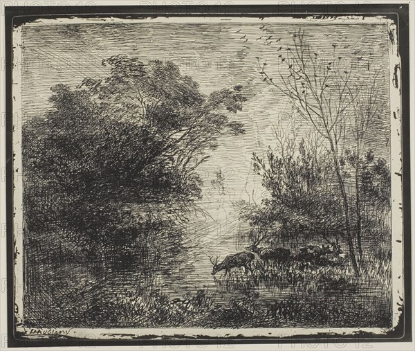 Stags, 1862, Charles François Daubigny, French, 1817-1878, France, Cliché-verre on ivory photographic paper, 154 × 186 mm (image), 172 × 204 mm (sheet)