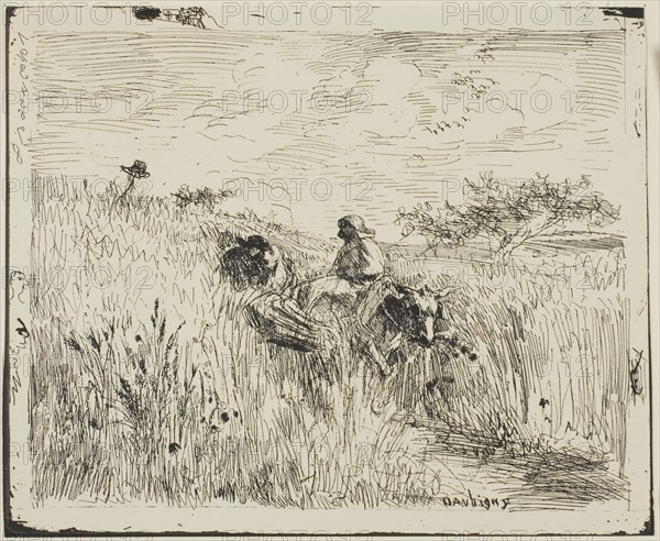 Path Through the Wheatfield, 1862, Charles François Daubigny, French, 1817-1878, France, Cliché-verre on ivory photographic paper, 147 × 185 mm (image), 165 × 200 mm (sheet)