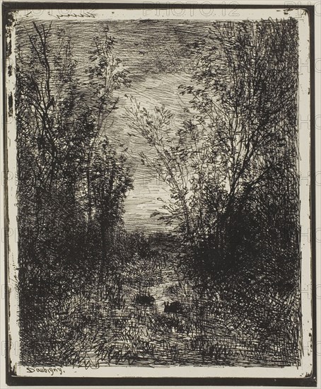 Brook in the Clearing, 1862, Charles François Daubigny, French, 1817-1878, France, Cliché-verre on ivory photographic paper, 189 × 152 mm (image), 205 × 170 mm (sheet)