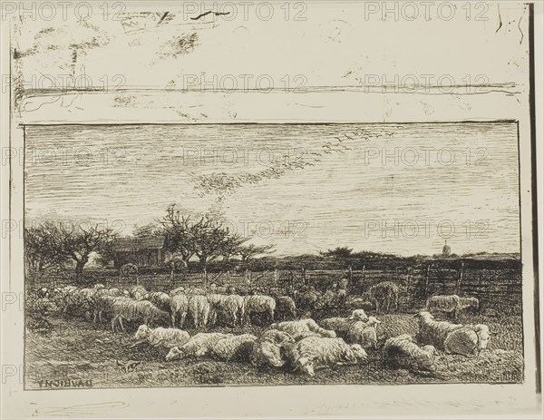 The Large Sheepfold, 1862, Charles François Daubigny, French, 1817-1878, France, Cliché-verre on ivory photographic paper, 186 × 350 mm (image), 282 × 376 mm (sheet)