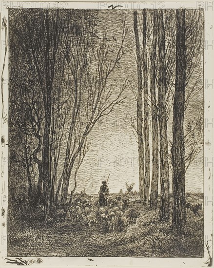 Return of the Flock, 1862, Charles François Daubigny, French, 1817-1878, France, Cliché-verre on ivory photographic paper, 342 × 270 mm (image), 360 × 290 mm (sheet)